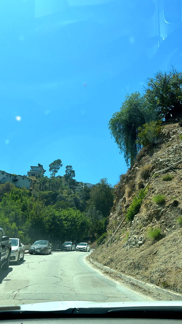 syd.shmitty image ~ Altpins