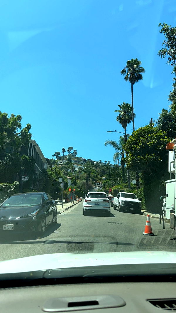 syd.shmitty image ~ Altpins