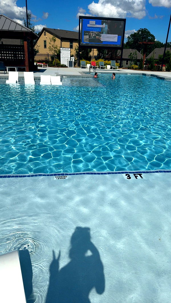 syd.shmitty image ~ Altpins