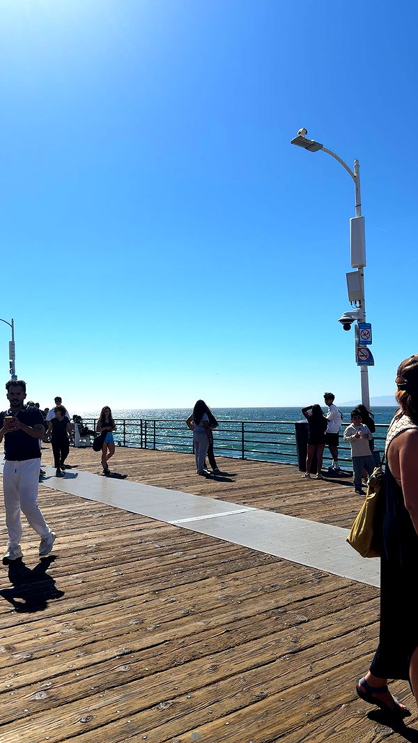 syd.shmitty image ~ Altpins