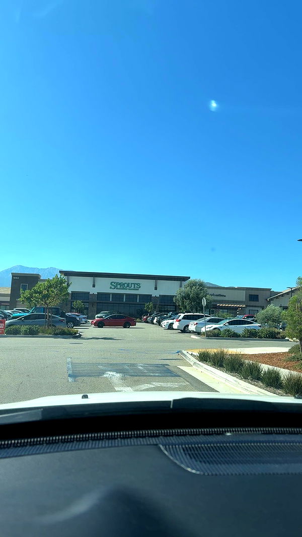 syd.shmitty image ~ Altpins