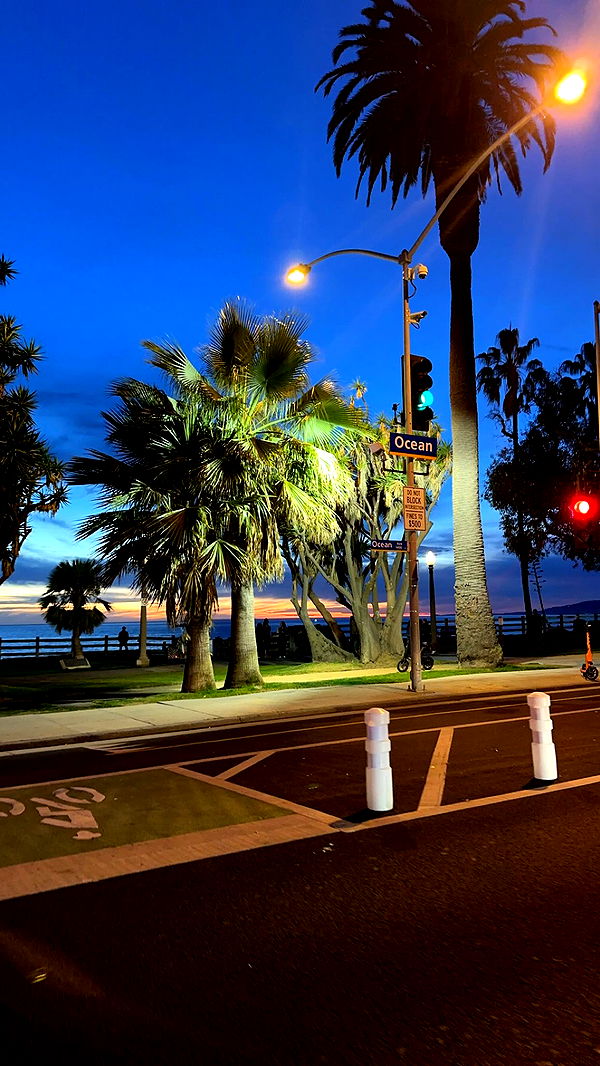 syd.shmitty image ~ Altpins