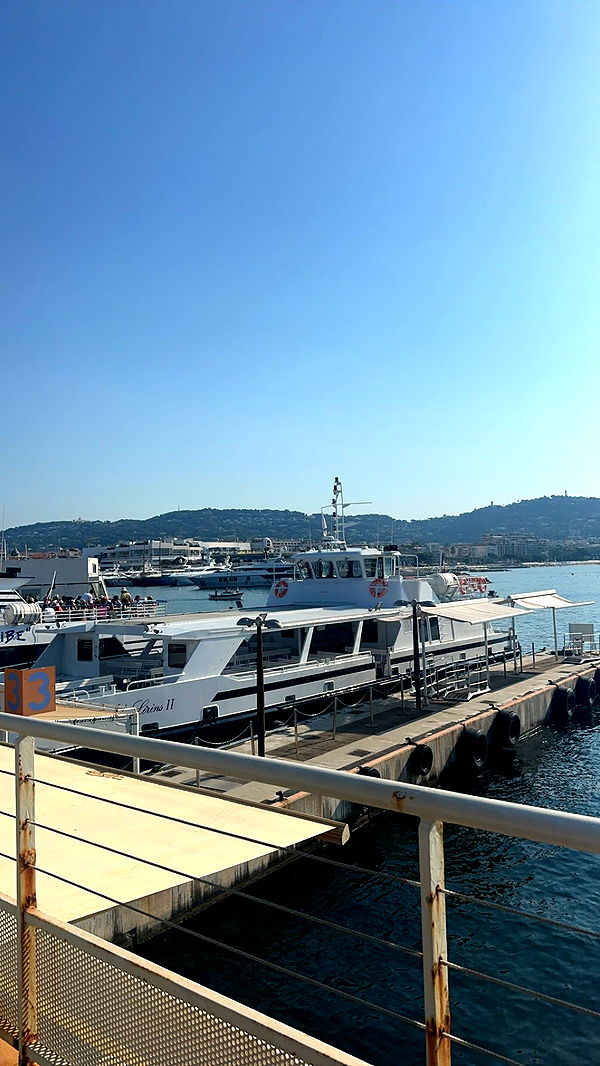 syd.shmitty image ~ Altpins