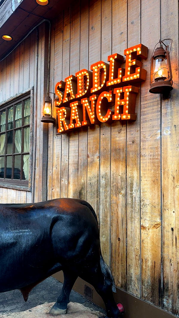 syd.shmitty image ~ Altpins