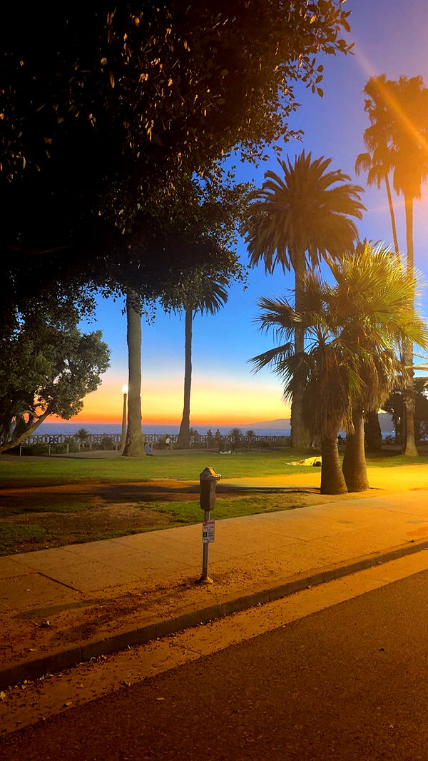 syd.shmitty image ~ Altpins