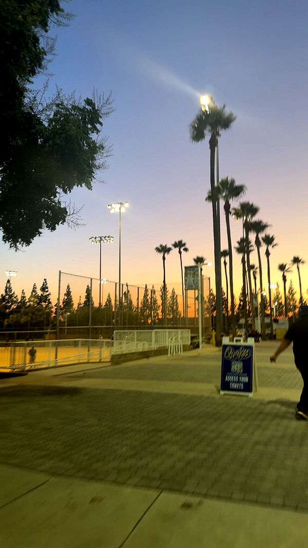 syd.shmitty image ~ Altpins