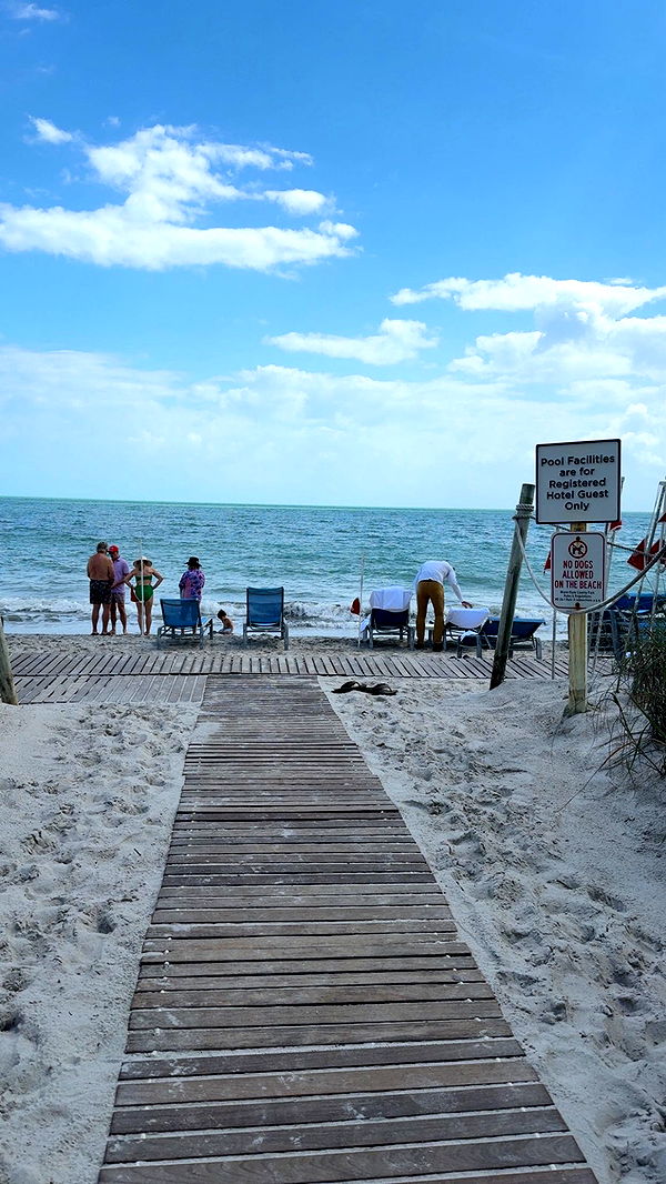 syd.shmitty image ~ Altpins