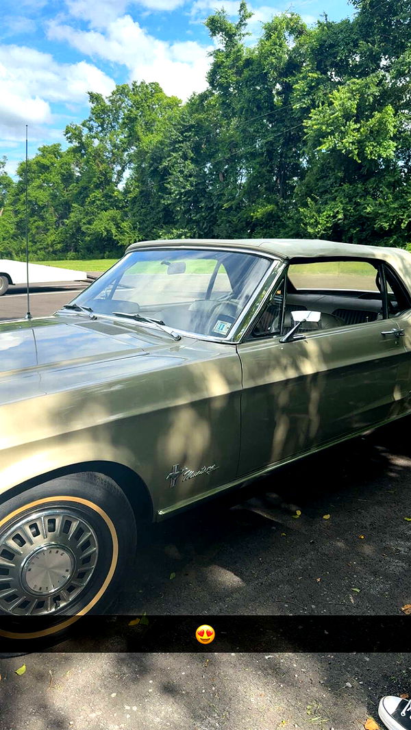 syd.shmitty image ~ Altpins