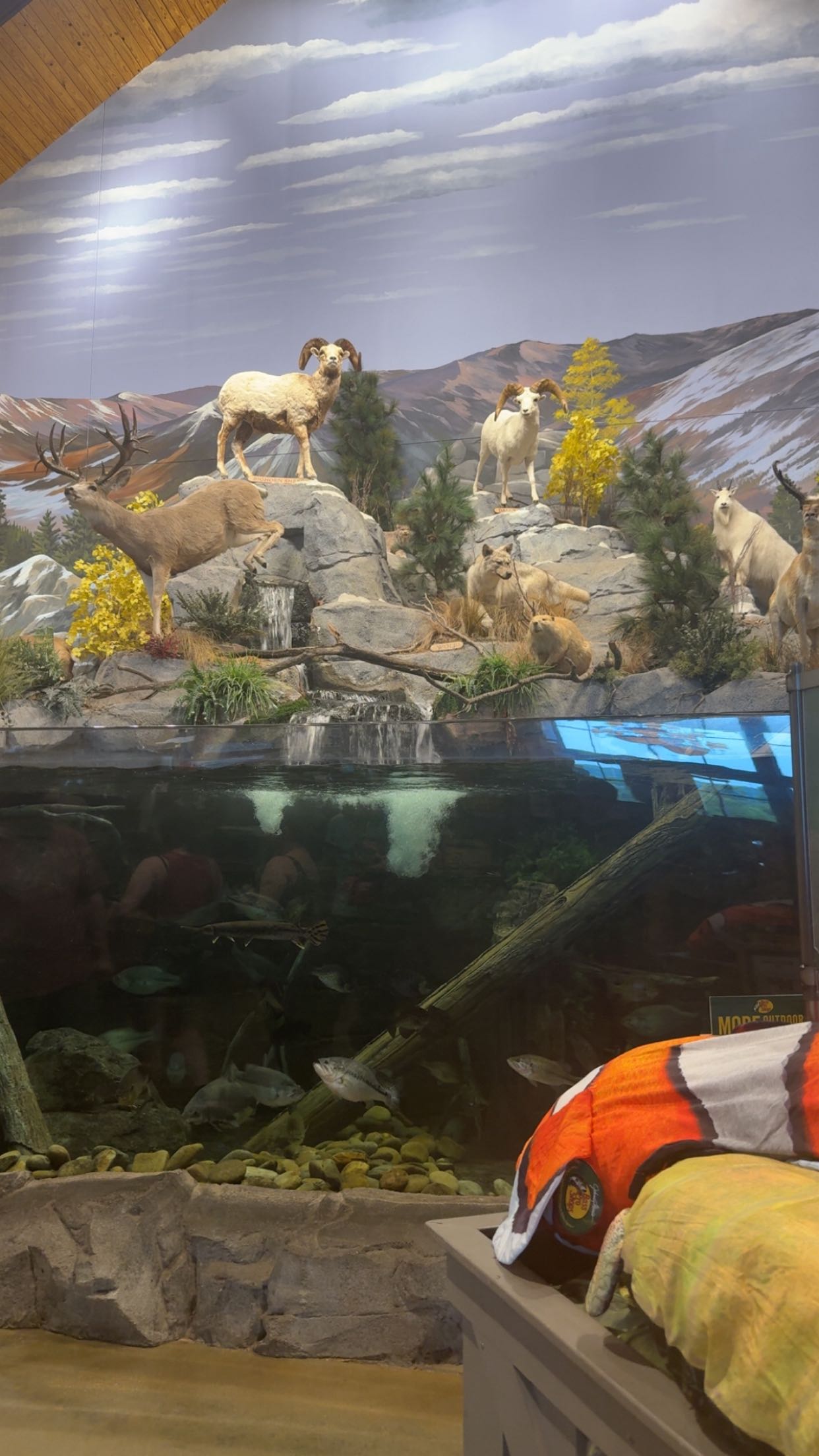 syd.shmitty snapchat image archive image