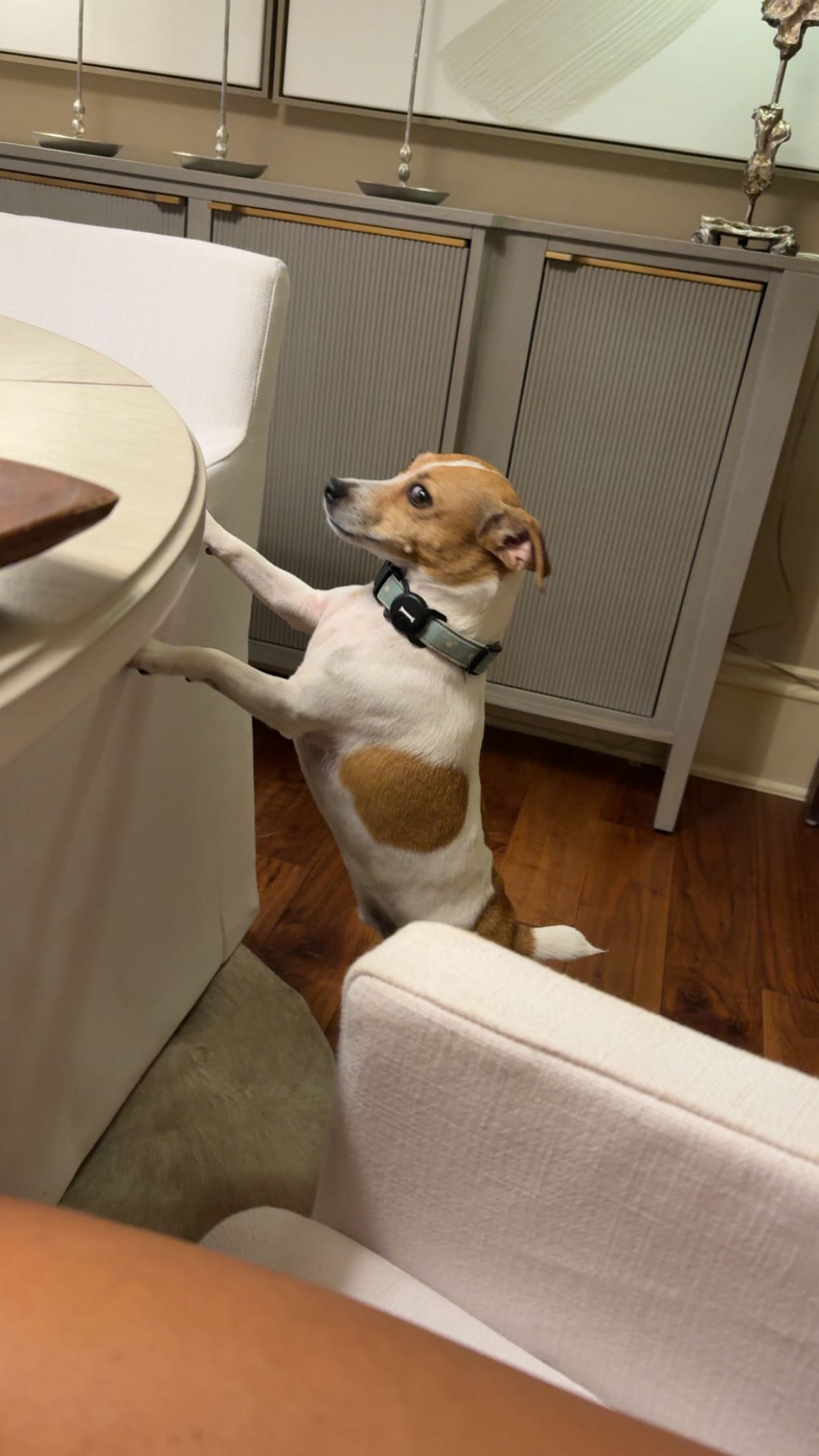 syd.shmitty snapchat image archive image