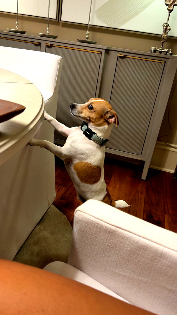 syd.shmitty image ~ Altpins