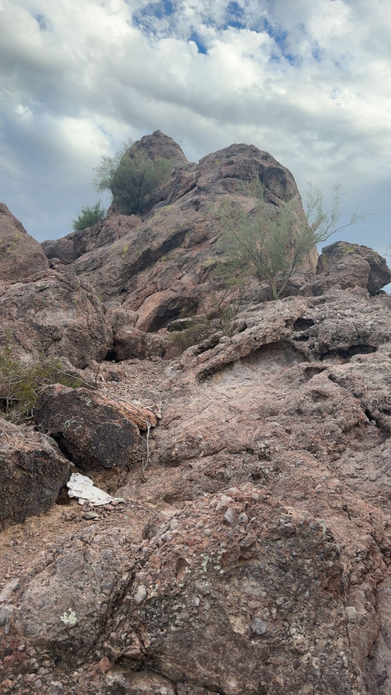 syd.shmitty snapchat image archive image