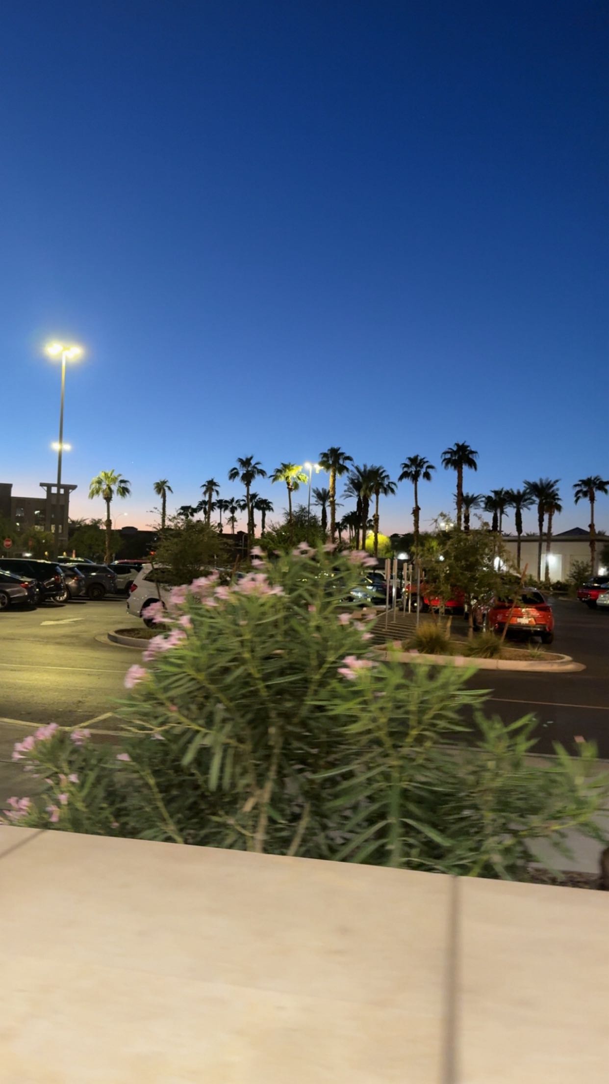 syd.shmitty snapchat image archive image