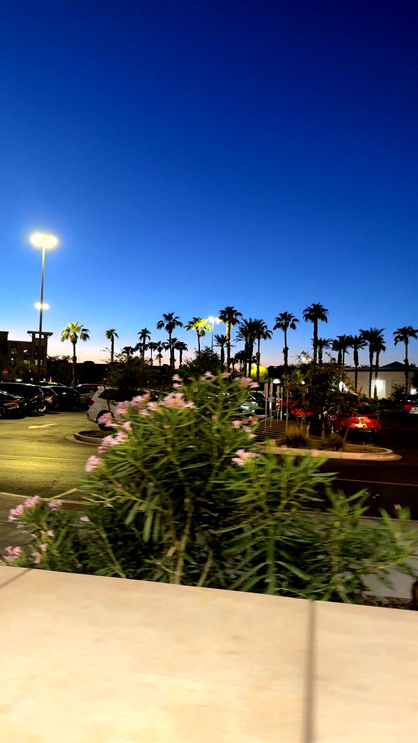 syd.shmitty image ~ Altpins