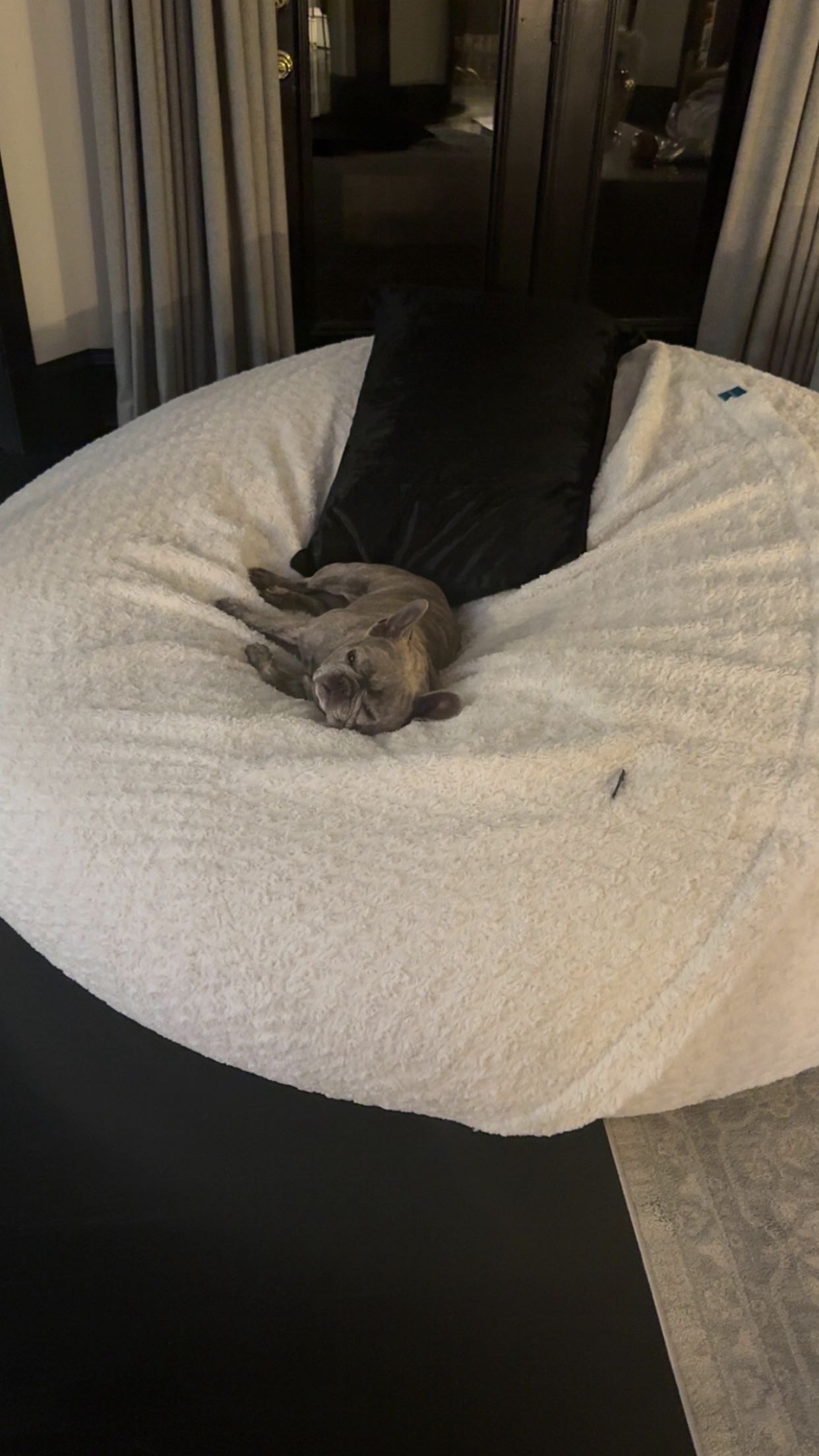 syd.shmitty snapchat image archive image