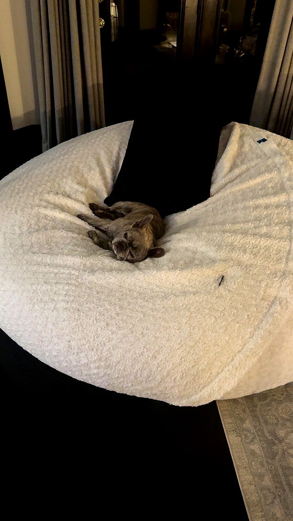 syd.shmitty image ~ Altpins