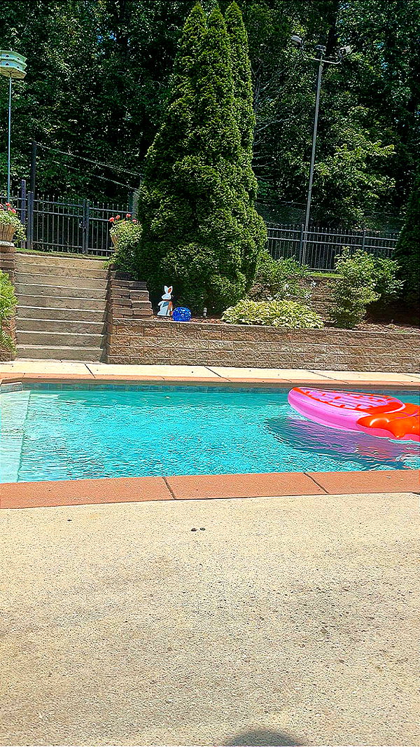 syd.shmitty image ~ Altpins