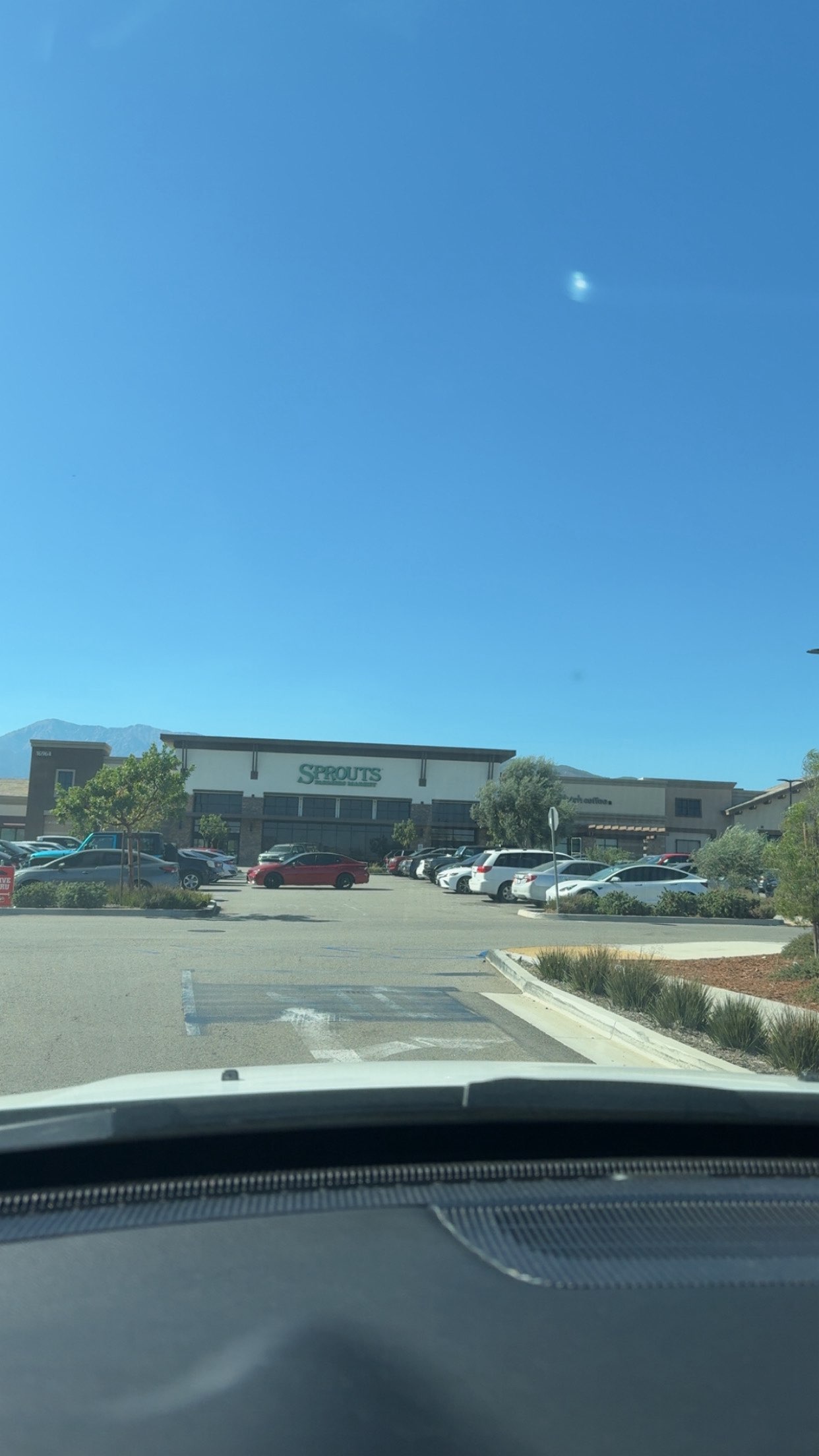 syd.shmitty snapchat image archive image