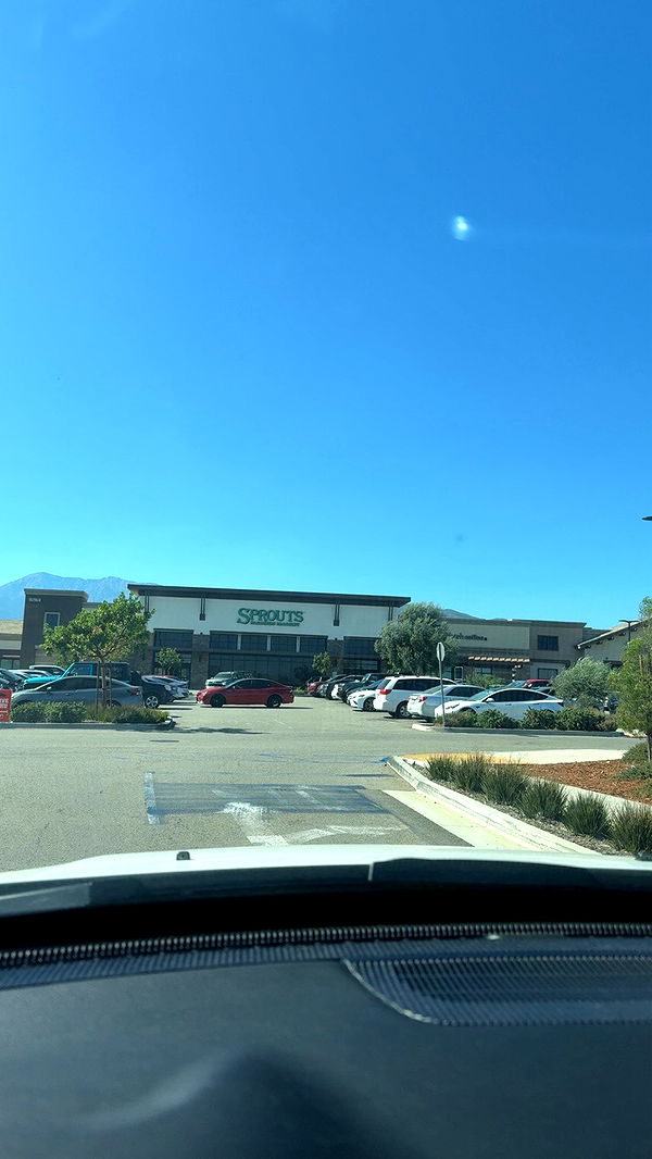 syd.shmitty image ~ Altpins