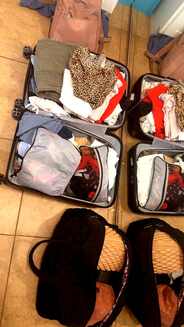 syd.shmitty image ~ Altpins