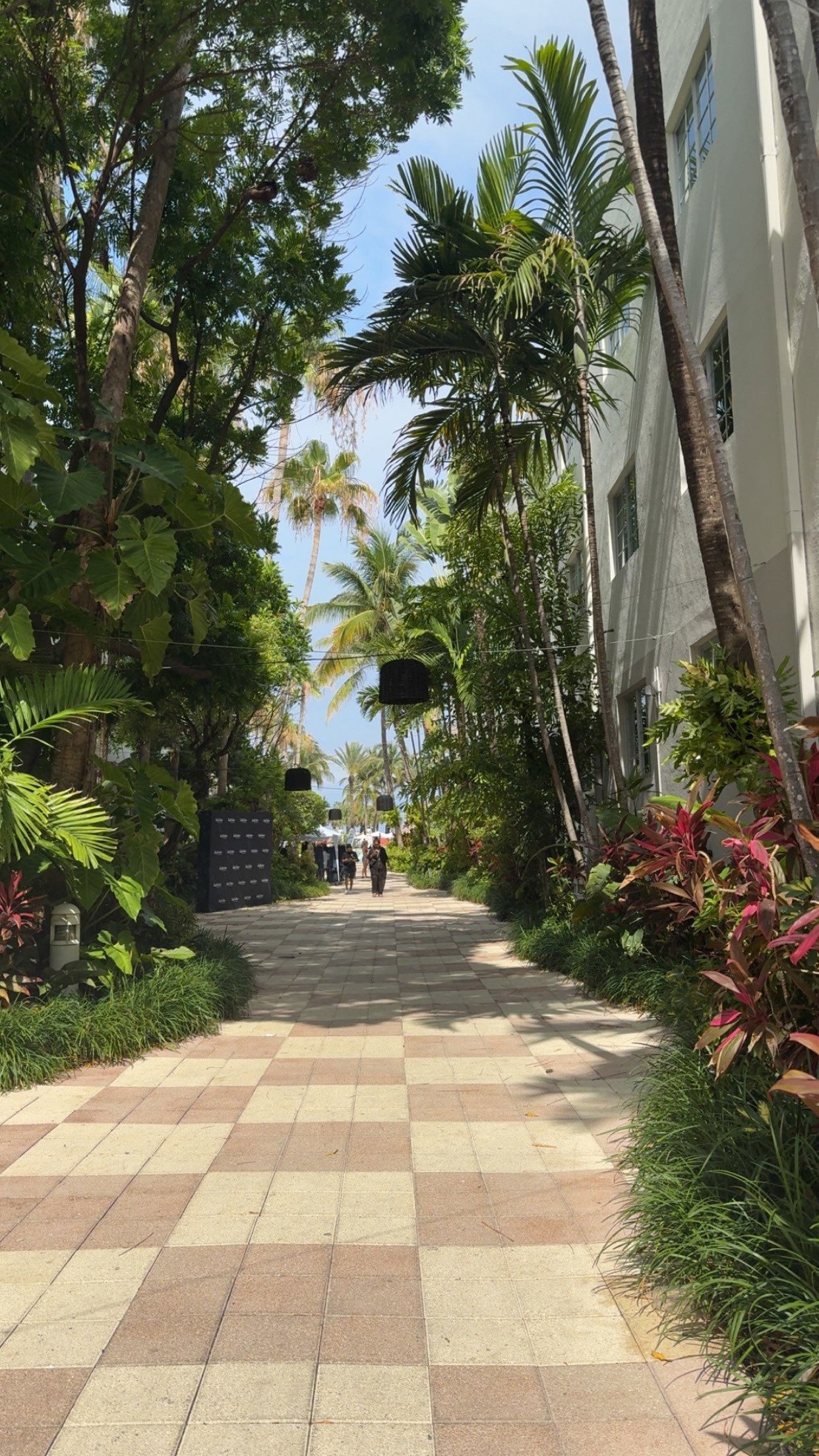 syd.shmitty snapchat image archive image