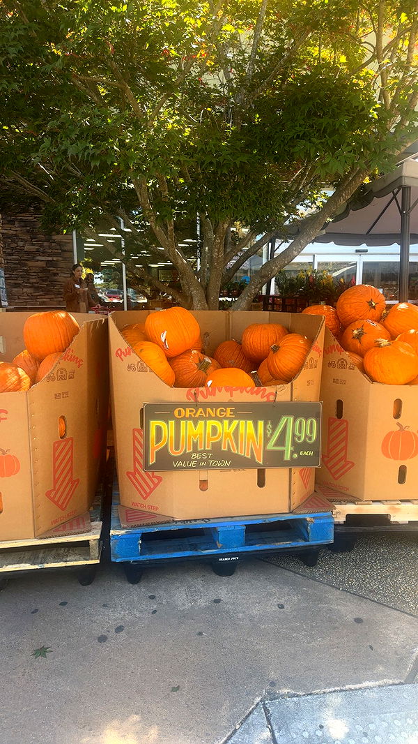 syd.shmitty image ~ Altpins