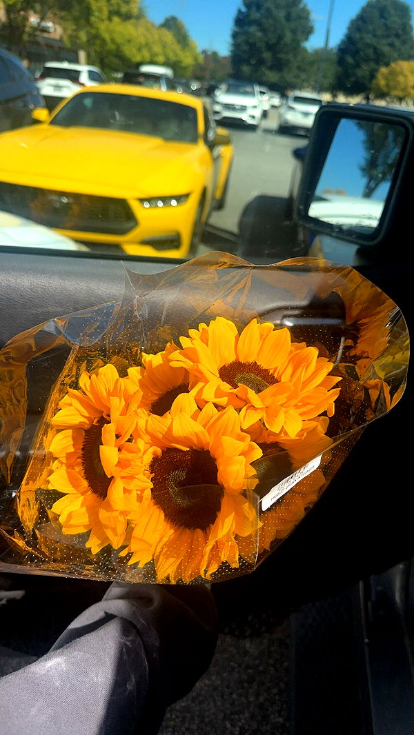 syd.shmitty image ~ Altpins