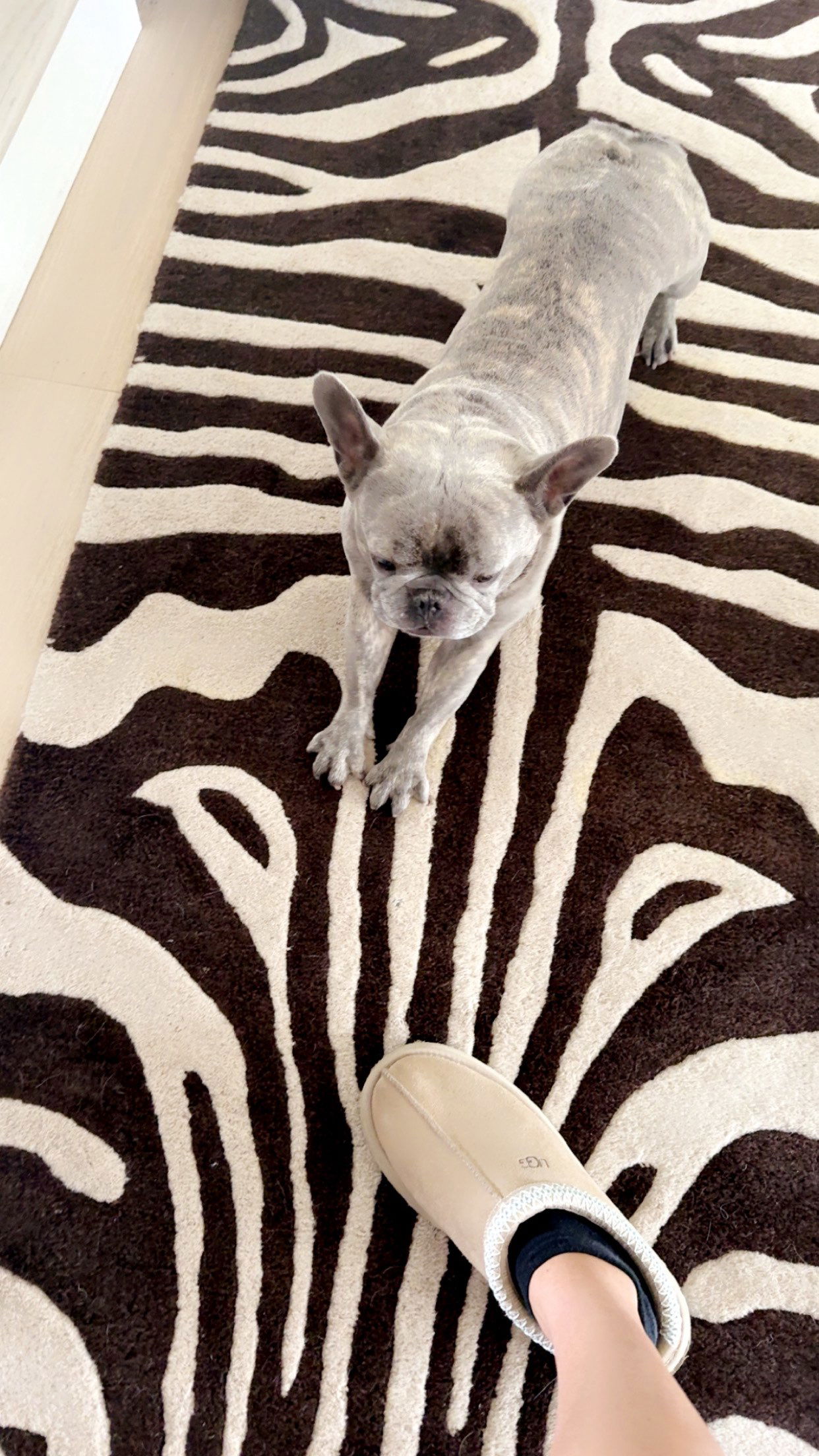 syd.shmitty snapchat image archive image