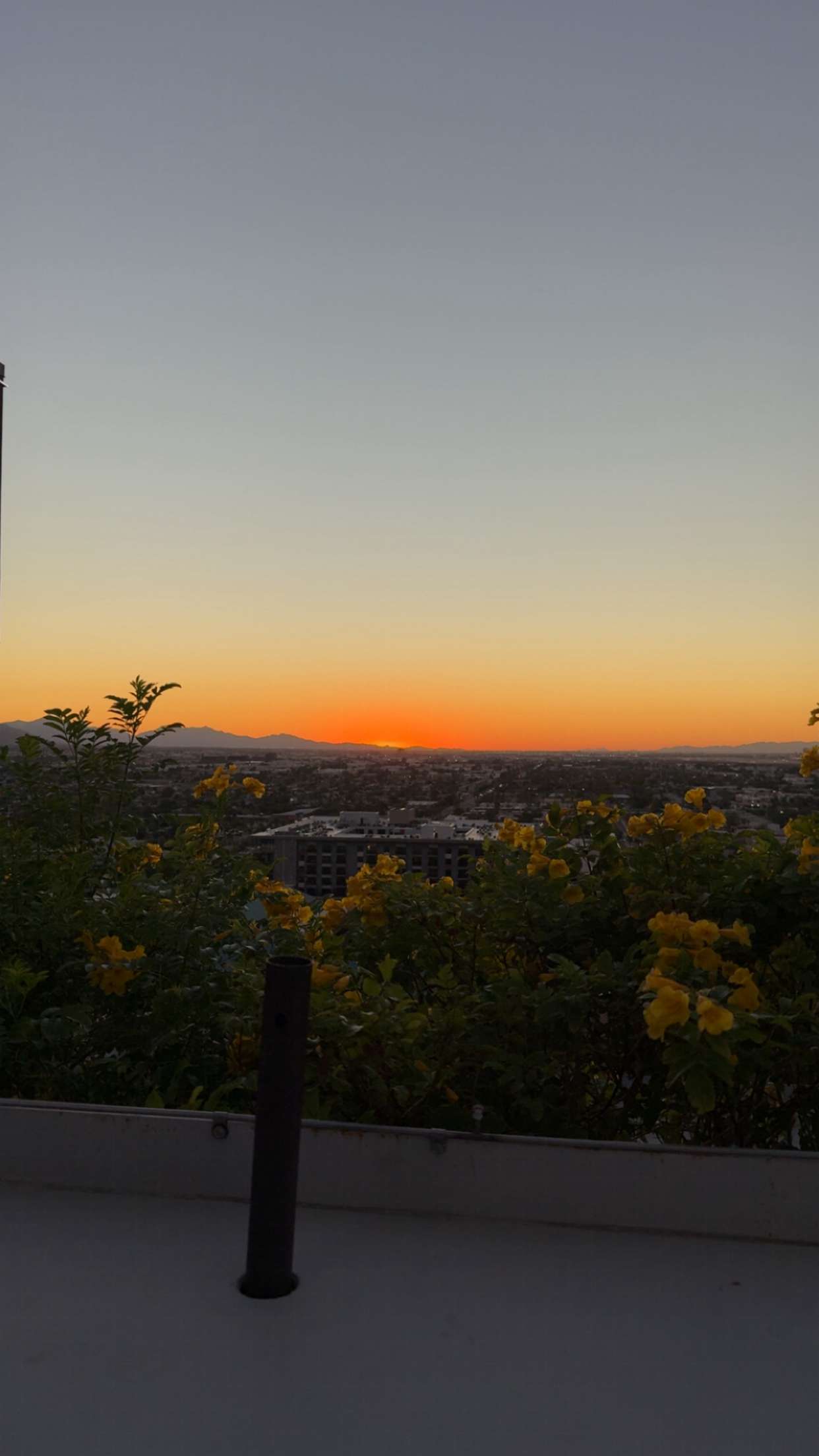 syd.shmitty snapchat image archive image