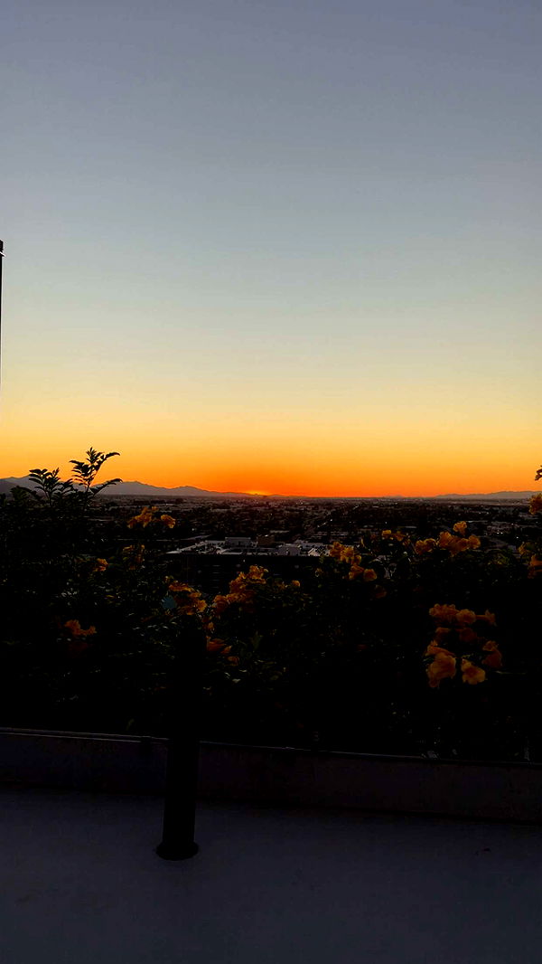 syd.shmitty image ~ Altpins