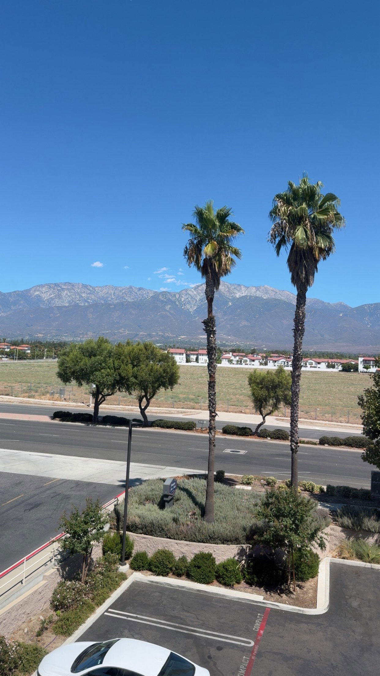 syd.shmitty snapchat image archive image