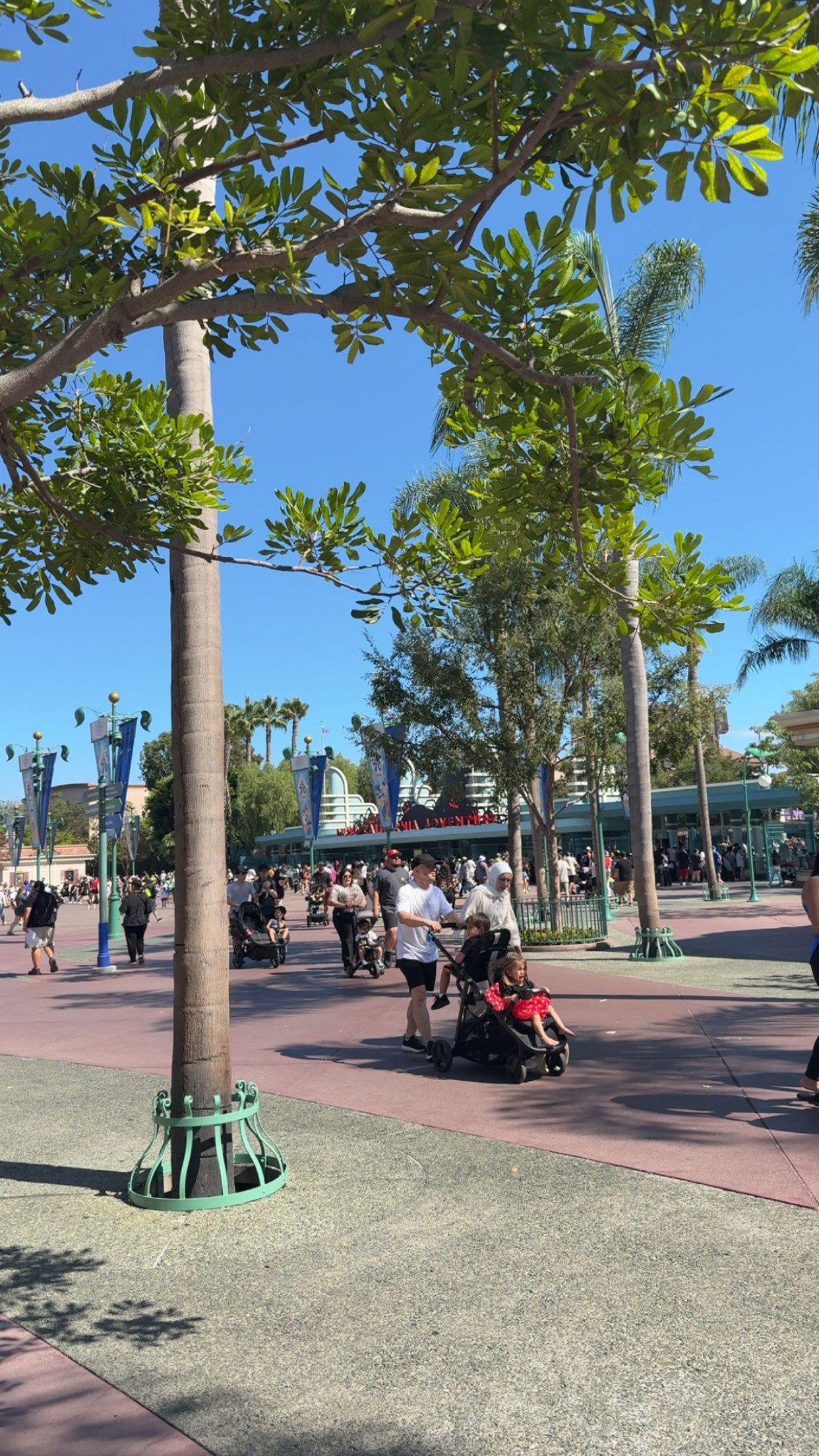 syd.shmitty snapchat image archive image