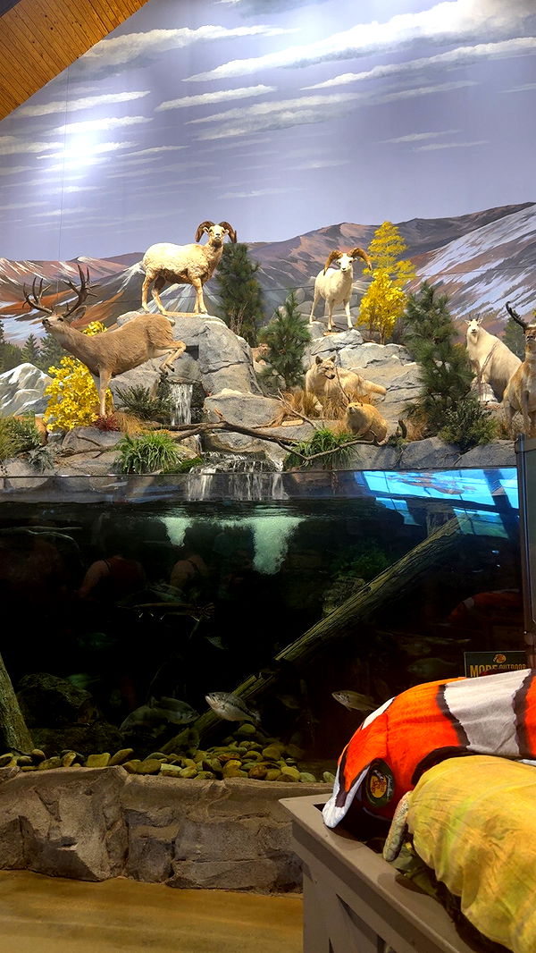 syd.shmitty image ~ Altpins