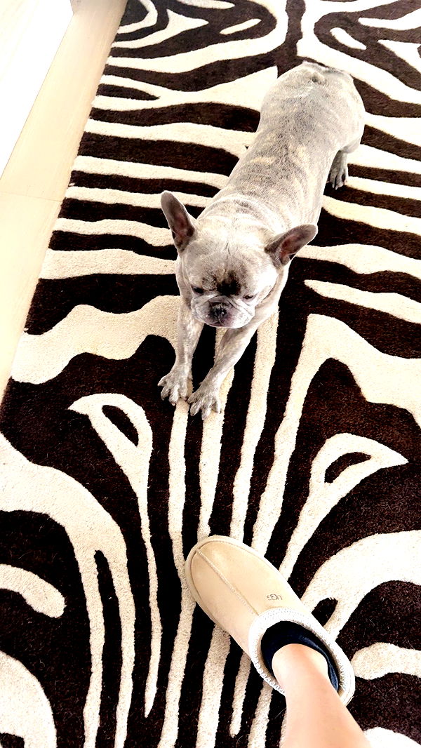 syd.shmitty image ~ Altpins