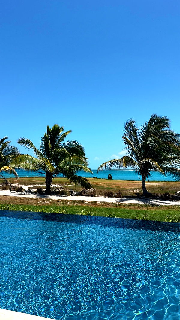 syd.shmitty image ~ Altpins