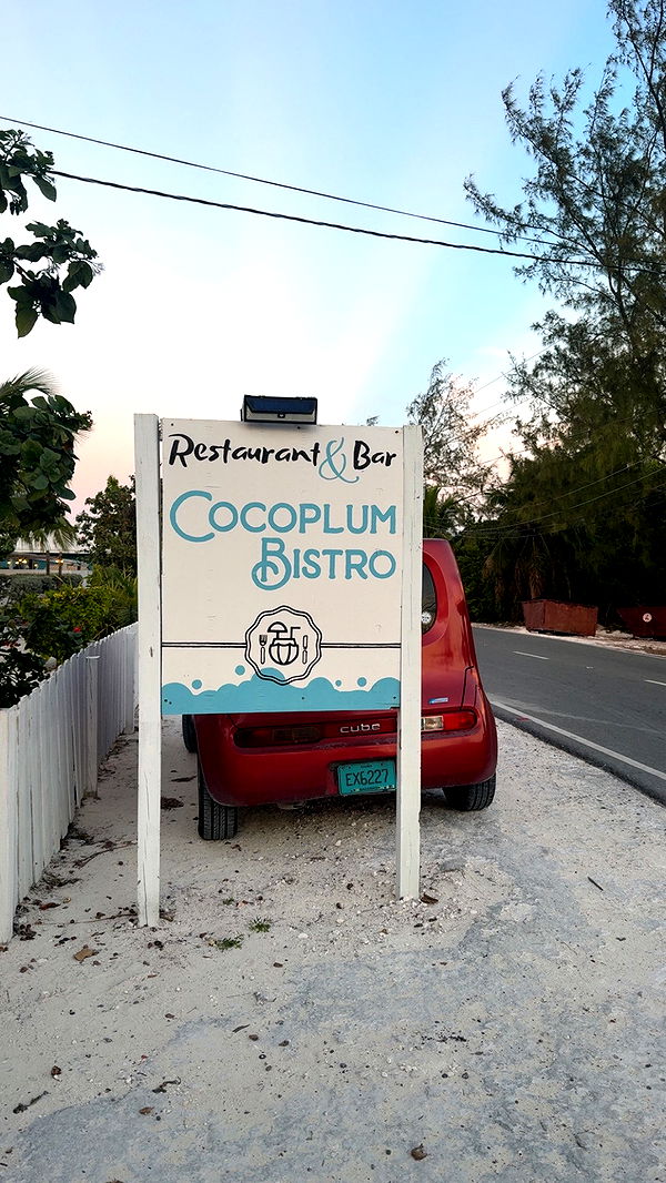 syd.shmitty image ~ Altpins