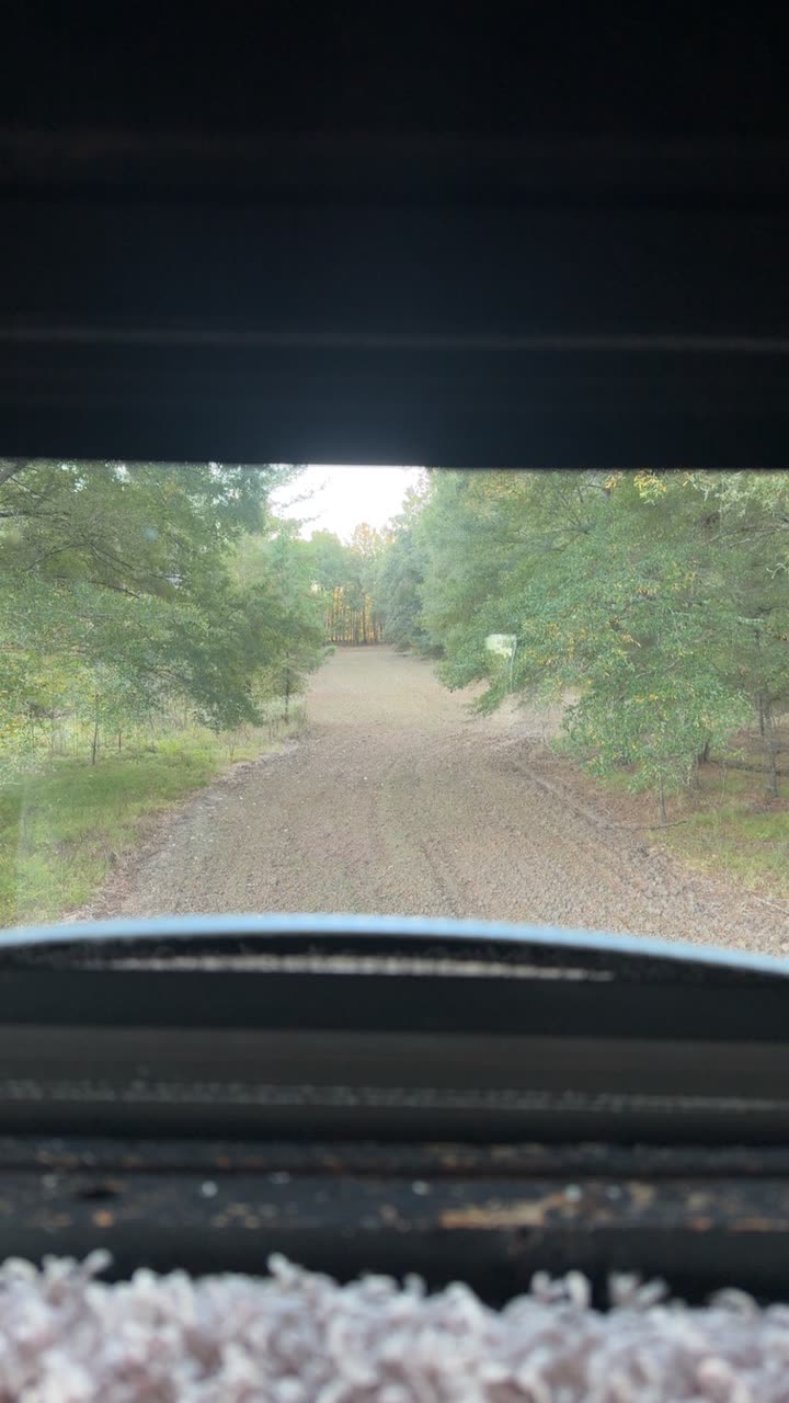 syd.shmitty snapchat image archive image