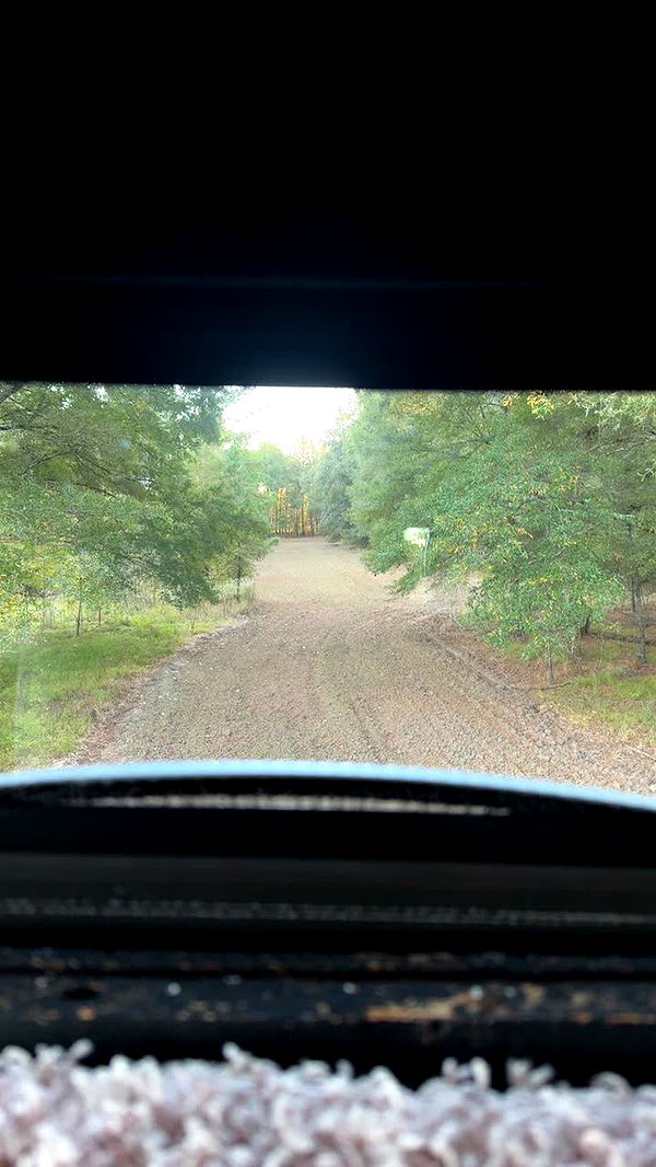 syd.shmitty image ~ Altpins