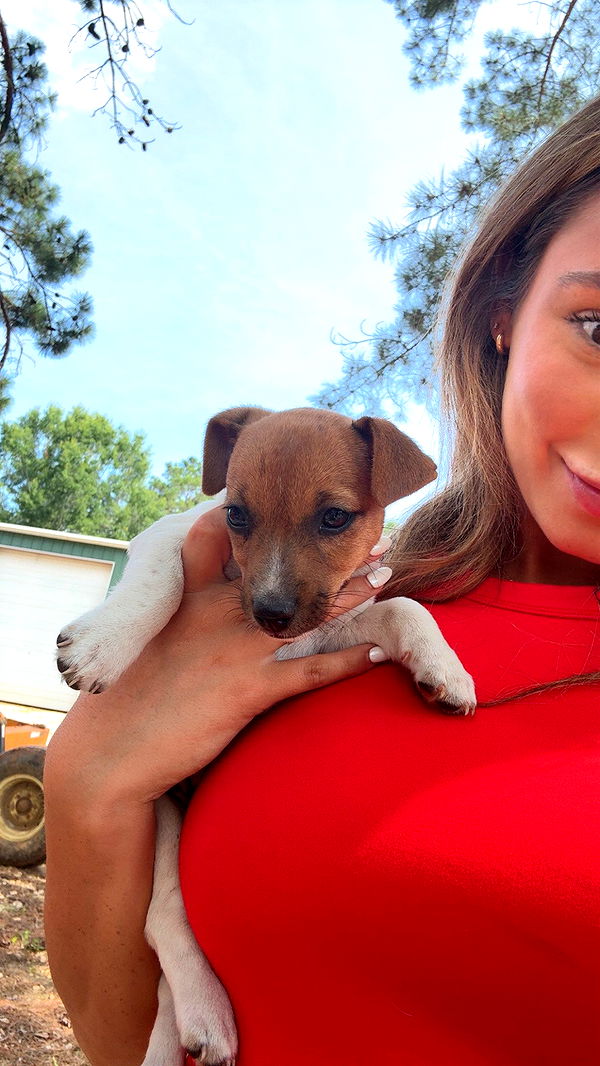 syd.shmitty image ~ Altpins