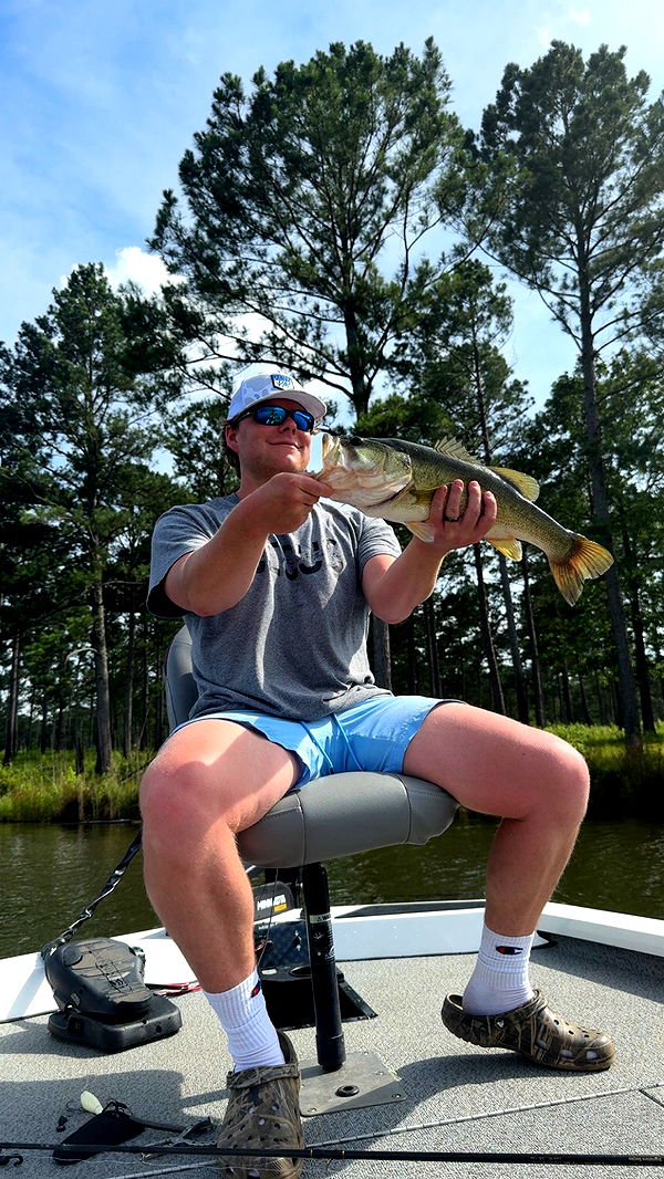 syd.shmitty image ~ Altpins