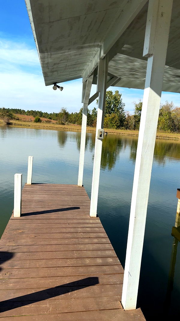 syd.shmitty image ~ Altpins