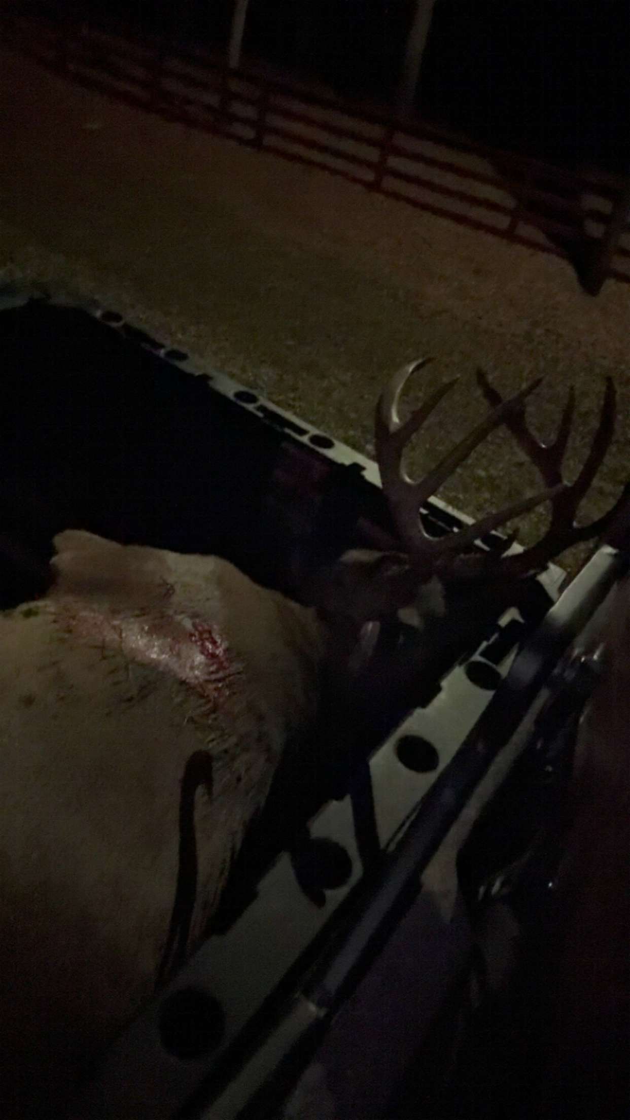 syd.shmitty snapchat image archive image