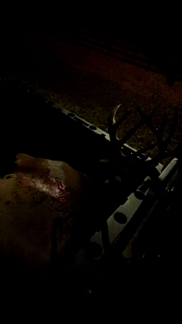 syd.shmitty image ~ Altpins