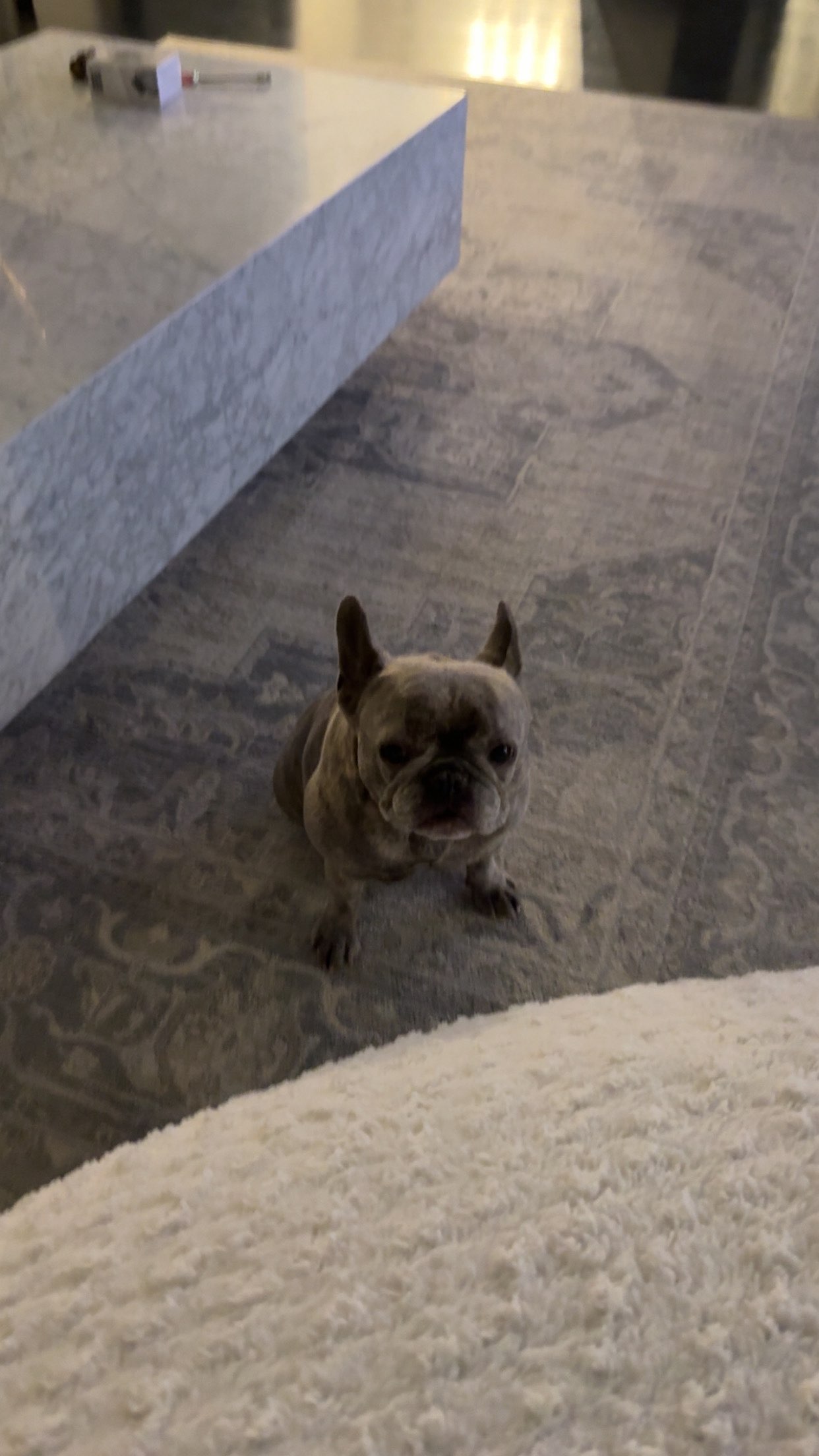 syd.shmitty snapchat image archive image