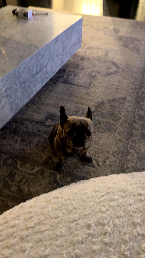 syd.shmitty image ~ Altpins