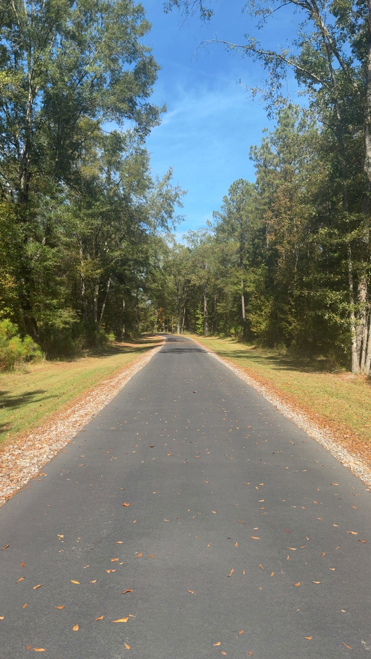 syd.shmitty snapchat image archive image