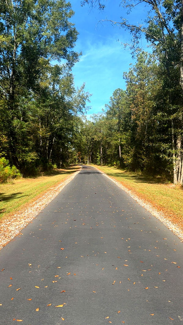 syd.shmitty image ~ Altpins