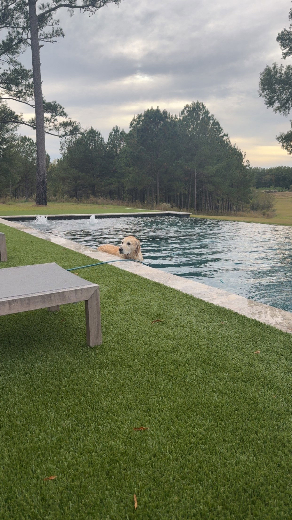 syd.shmitty snapchat image archive image