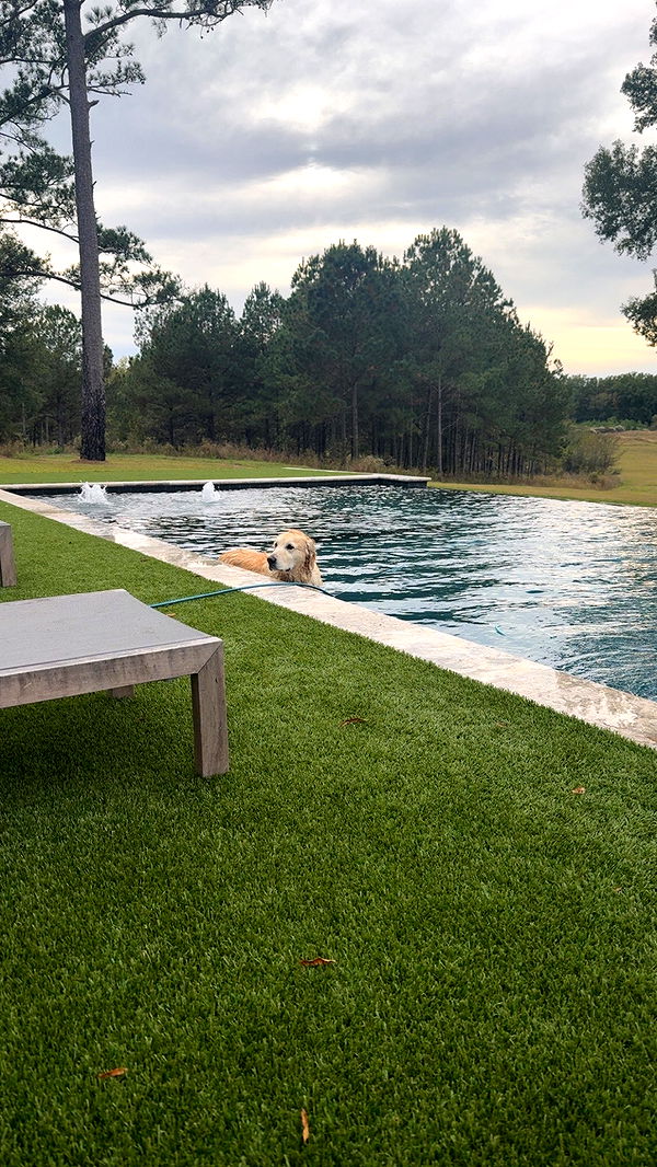 syd.shmitty image ~ Altpins