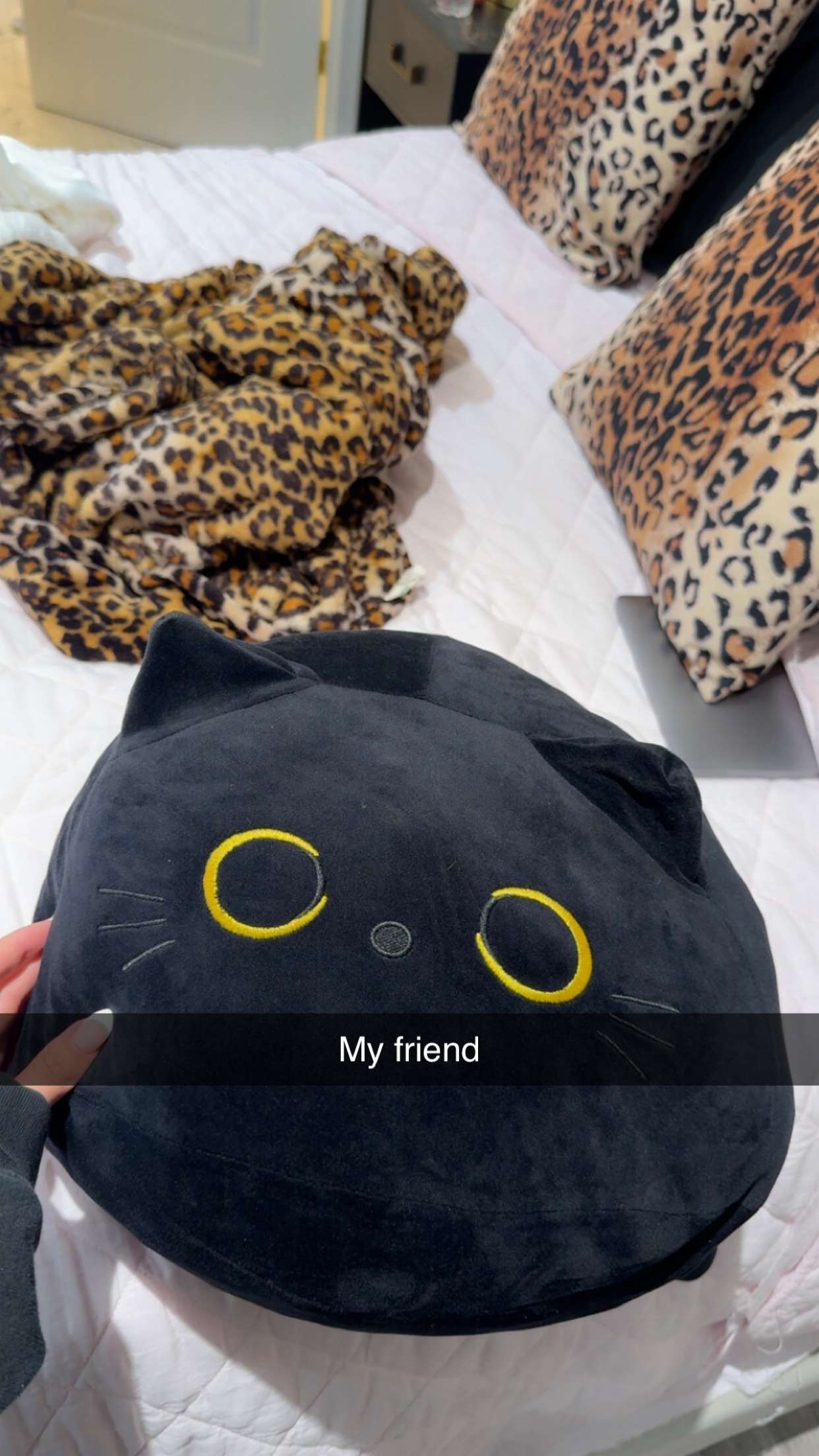 syd.shmitty snapchat image archive image